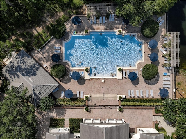15150 Evergreen Oak Loop, Winter Garden, FL 34787 - bird's eye view of a pool area