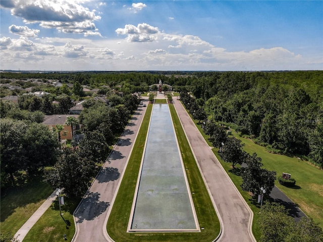 15150 Evergreen Oak Loop, Winter Garden, FL 34787 - bird's eye view of a forest
