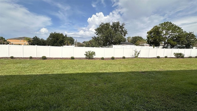1528 Mirabella Cir, Davenport, FL 33897 - view of yard