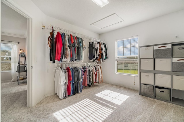 3467 Harlequin Dr, Saint Cloud, FL 34772 - photo 21