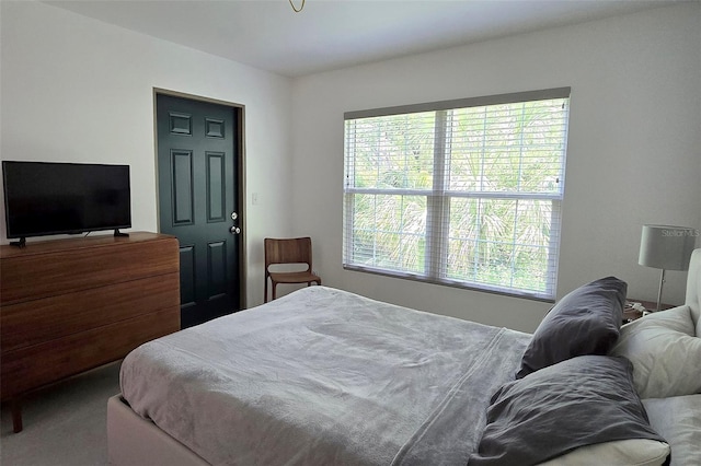 9100 Dr Martin Luther King Jr St N Unit 1007, Saint Petersburg, FL 33702 - photo 18
