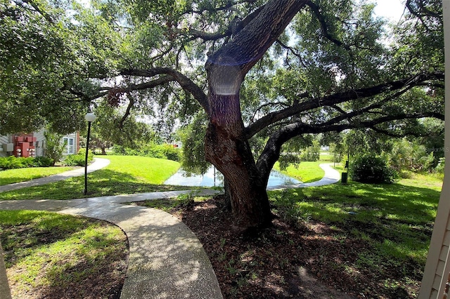 9100 Dr Martin Luther King Jr St N Unit 1007, Saint Petersburg, FL 33702 - photo 34
