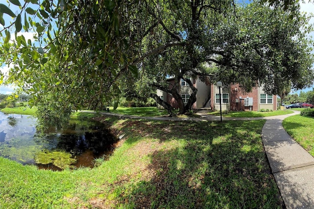 9100 Dr Martin Luther King Jr St N Unit 1007, Saint Petersburg, FL 33702 - photo 35