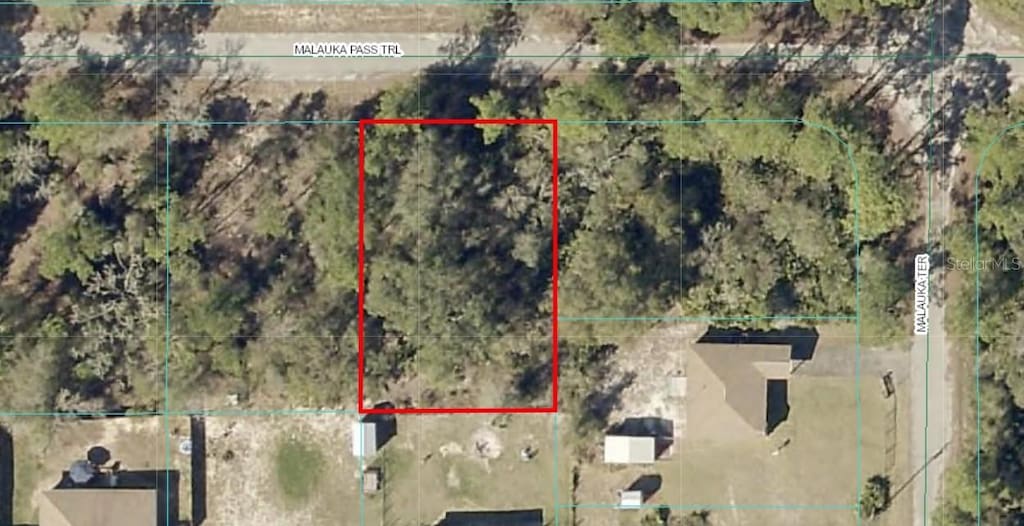 Malauka Pass Trl, Ocklawaha, FL 32179 - photo 1