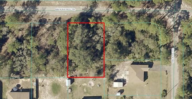 Malauka Pass Trl, Ocklawaha, FL 32179 - photo 1