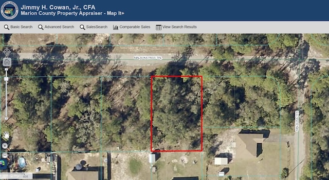 Malauka Pass Trl, Ocklawaha, FL 32179 - photo 2