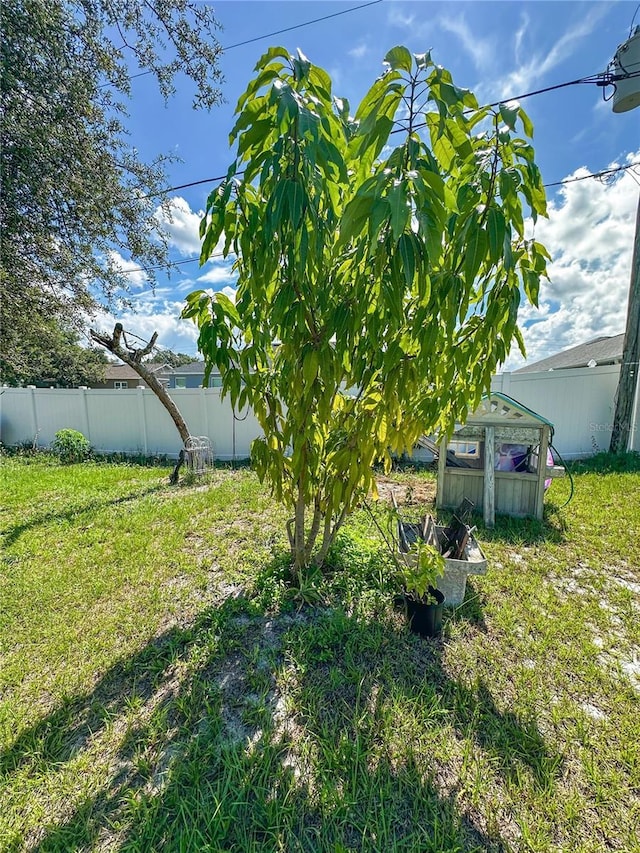 2333 Ainsworth Ave, Deltona, FL 32738 - view of yard