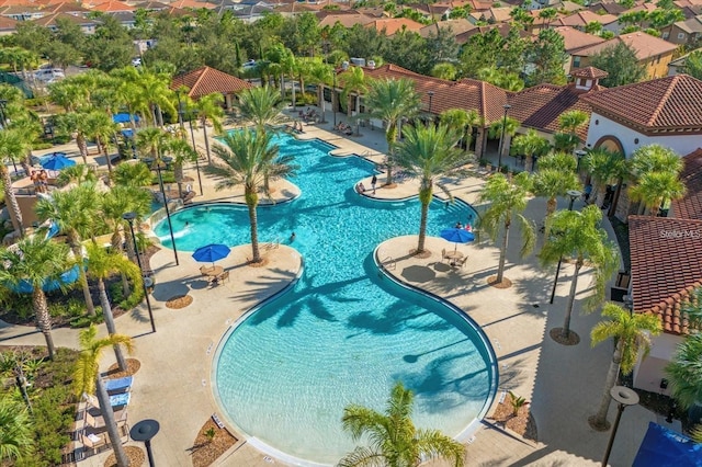 4710 Terrasonesta Dr, Davenport, FL 33837 - community pool featuring a patio area