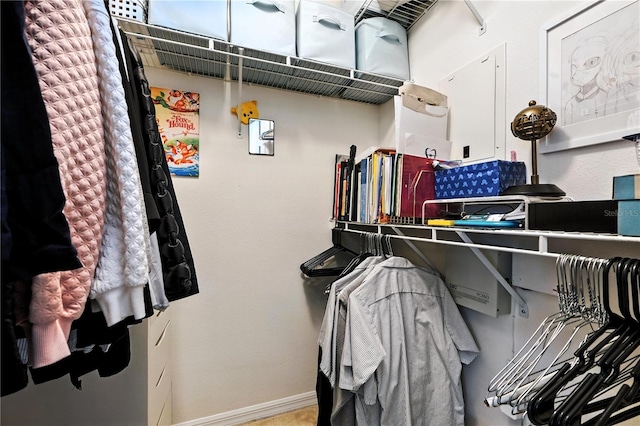 742 Centervale Dr Unit 742, Celebration, FL 34747 - view of spacious closet