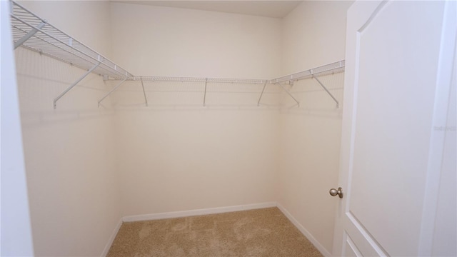 6756 Huntleigh Hammock Rd, Harmony, FL 34773 - photo 19