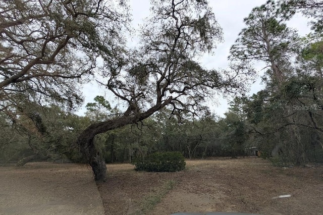 17131 SE 280th Ter, Umatilla, FL 32784