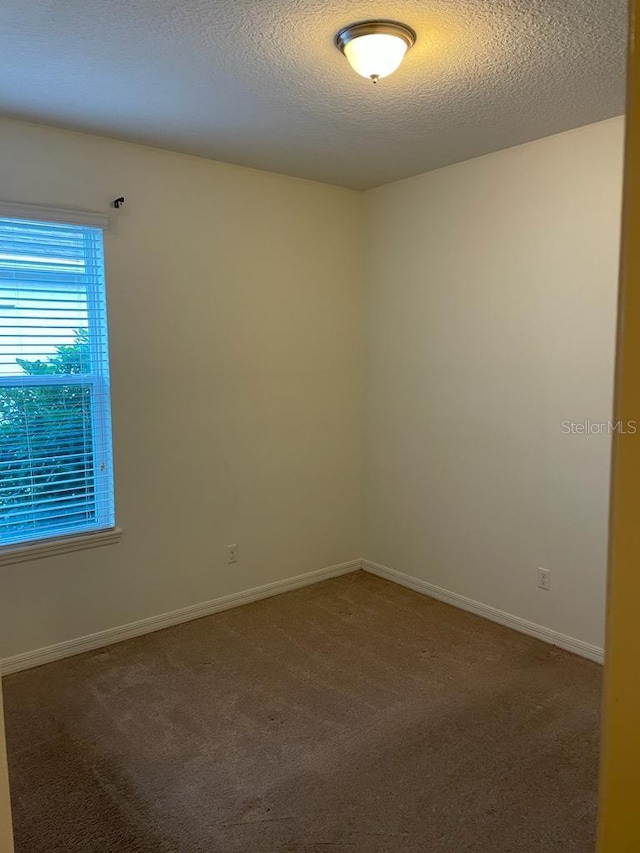 3710 Prairie Reserve Blvd, Orlando, FL 32824 - photo 10