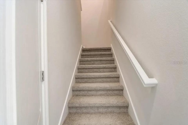 1851 Terrapin Rd, Ocoee, FL 34761 - staircase with carpet flooring