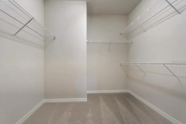 1851 Terrapin Rd, Ocoee, FL 34761 - walk in closet featuring carpet floors