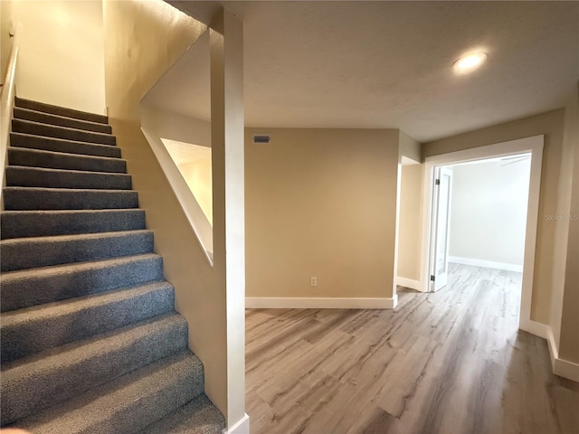 1724 Castle Rock Rd, Tampa, FL 33612 - photo 5