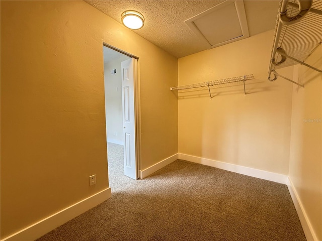1724 Castle Rock Rd, Tampa, FL 33612 - photo 24