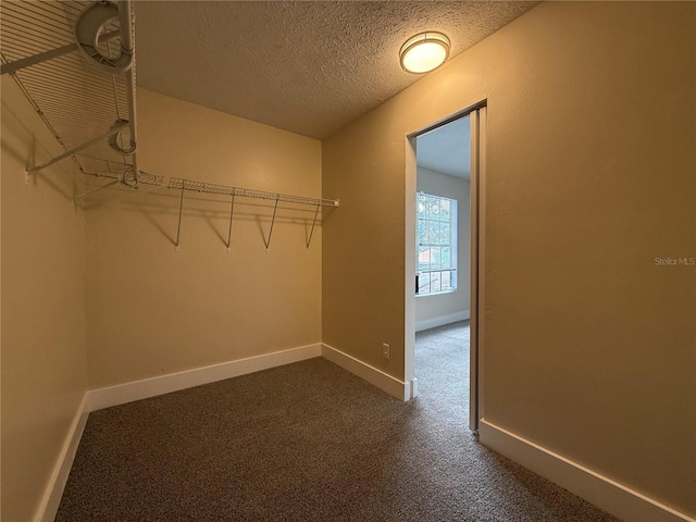 1724 Castle Rock Rd, Tampa, FL 33612 - photo 25