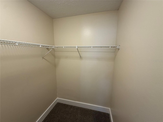 1724 Castle Rock Rd, Tampa, FL 33612 - photo 33