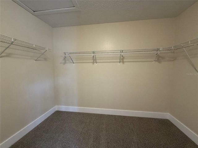 1724 Castle Rock Rd, Tampa, FL 33612 - photo 36