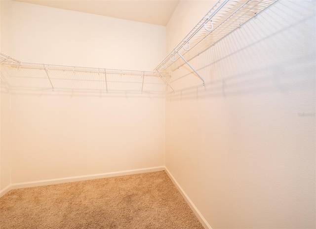 3492 Indian River Pkwy, Mims, FL 32754 - photo 22