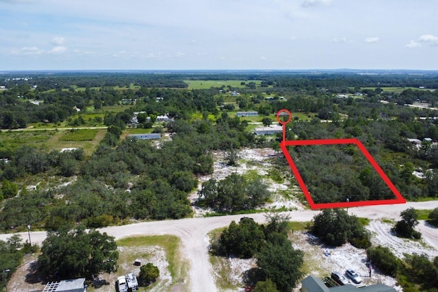 Lighthouse Ave, Lake Wales, FL 33859 - photo 2