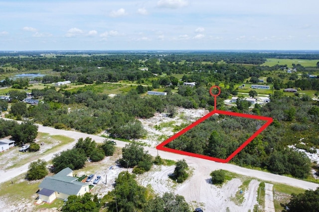Lighthouse Ave, Lake Wales, FL 33859 - photo 3