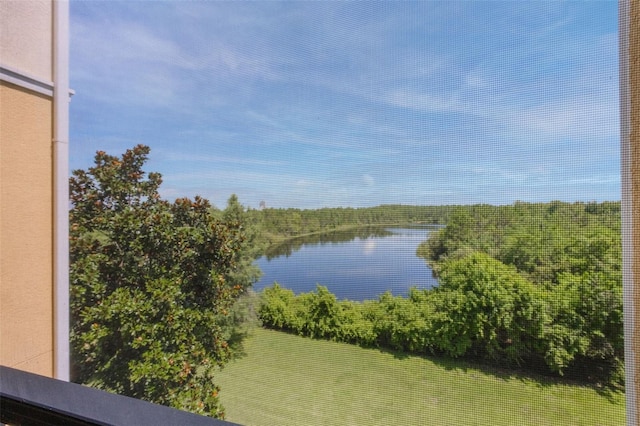 8774 Worldquest Blvd Unit 7404, Orlando, FL 32821 - water view