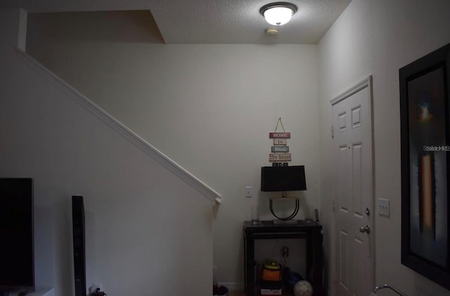 12407 Mossy Oak Dr, Orlando, FL 32832 - photo 15