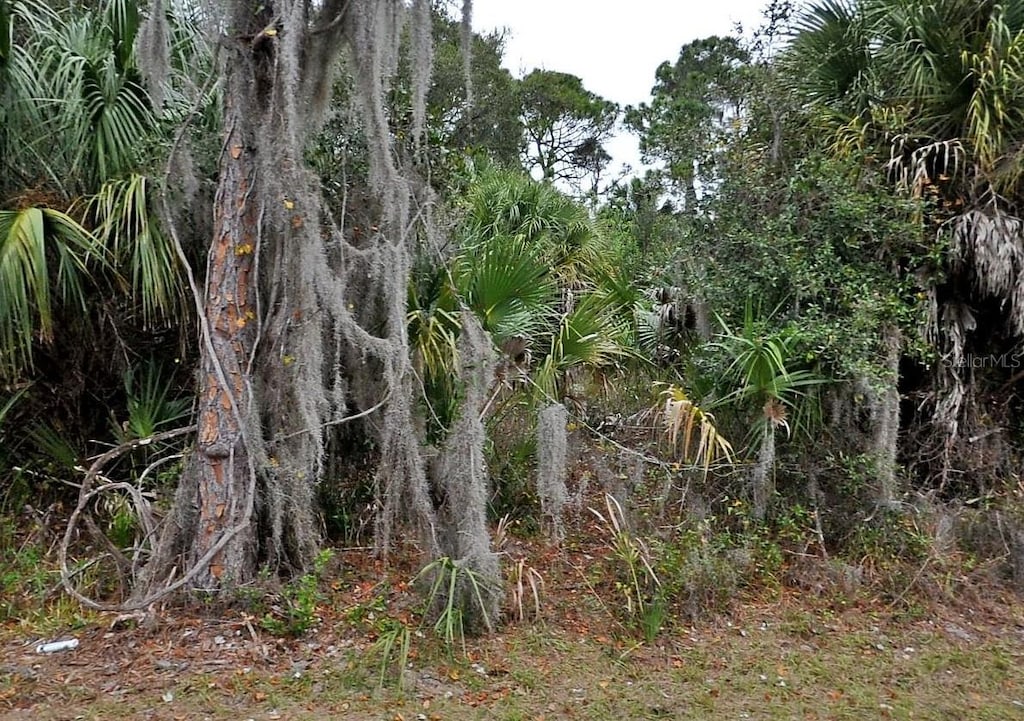 Shady Ave, North Port, FL 34286