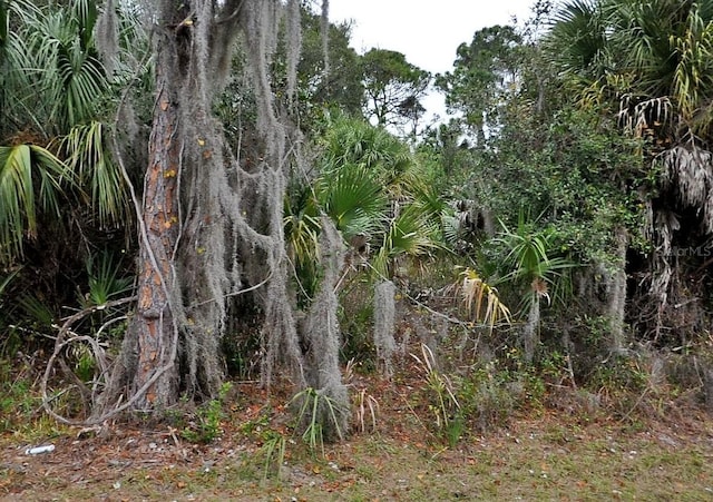 Shady Ave, North Port, FL 34286