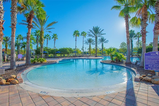 2000 Goblet Cove St, Kissimmee, FL 34746 - view of community pool