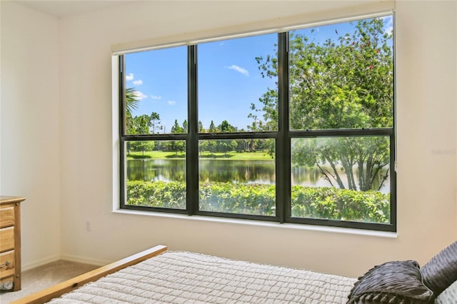 3390 Fallbrook Dr, Kissimmee, FL 34759 - bedroom featuring a water view and carpet flooring