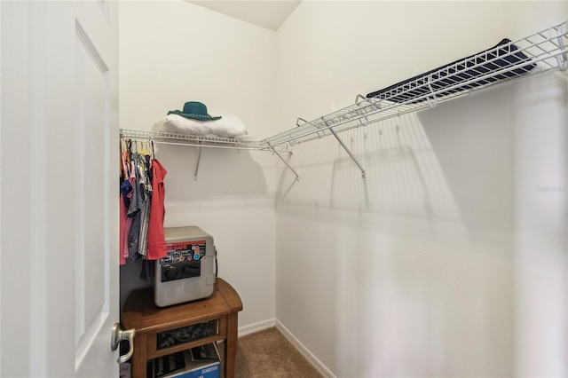 3390 Fallbrook Dr, Kissimmee, FL 34759 - spacious closet featuring carpet flooring