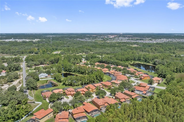 143 Tiger Lily Ct, Davenport, FL 33837 - aerial overview of property's location with a nearby body of water and nearby suburban area