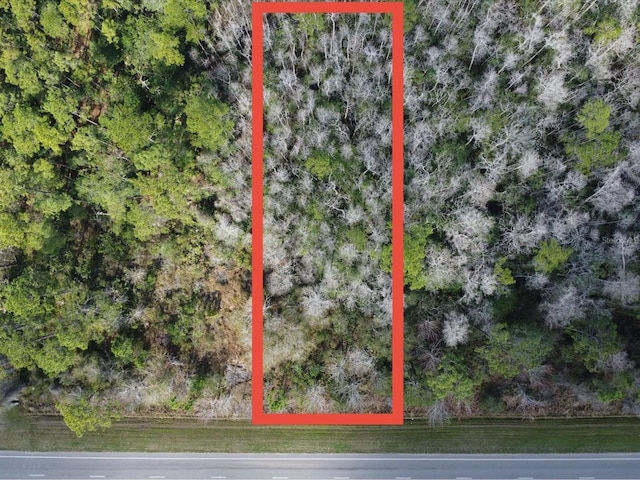 20523 E Colonial Dr, Christmas, FL 32709 - photo 2