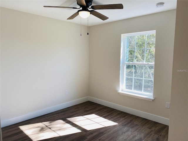 4452 Summer Flowers Pl, Kissimmee, FL 34746 - photo 10