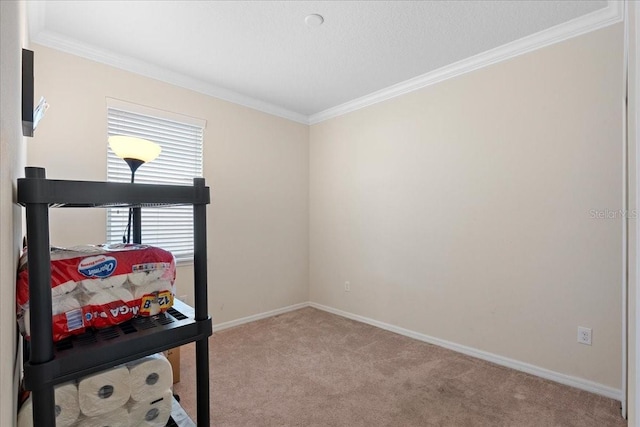 2511 Nouveau Way, Kissimmee, FL 34741 - bedroom with light colored carpet and ornamental molding