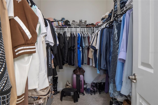2712 Creekmore Ct, Kissimmee, FL 34746 - walk in closet featuring carpet flooring
