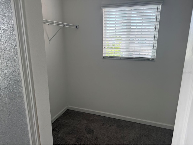 16856 Meadows St, Clermont, FL 34714 - walk in closet with carpet floors