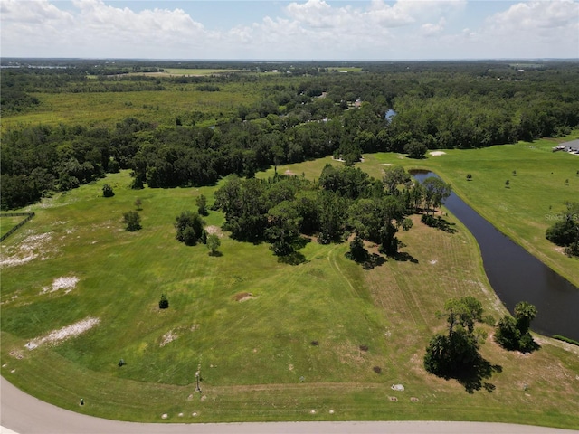 3618 Hidden River Ln, Tavares, FL 32778 - photo 2
