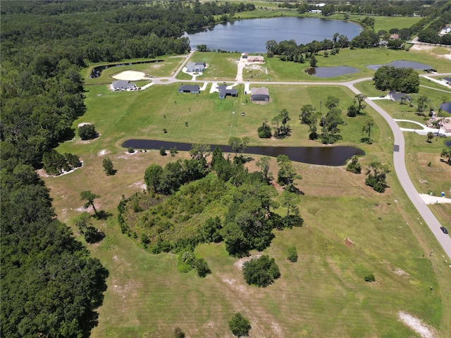 3618 Hidden River Ln, Tavares, FL 32778 - photo 6