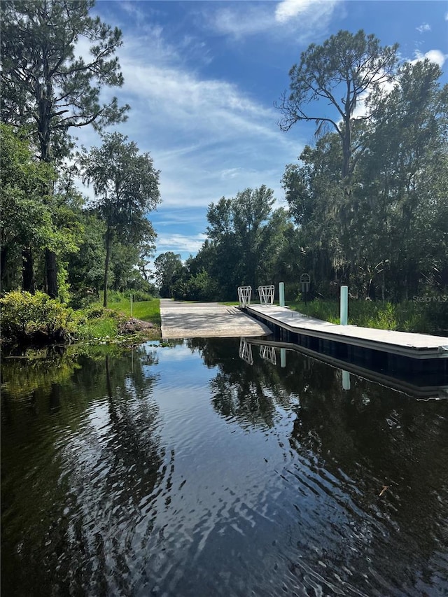 3618 Hidden River Ln, Tavares, FL 32778 - photo 8