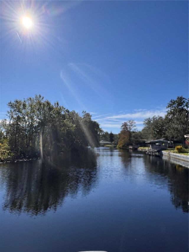 3618 Hidden River Ln, Tavares, FL 32778 - photo 17
