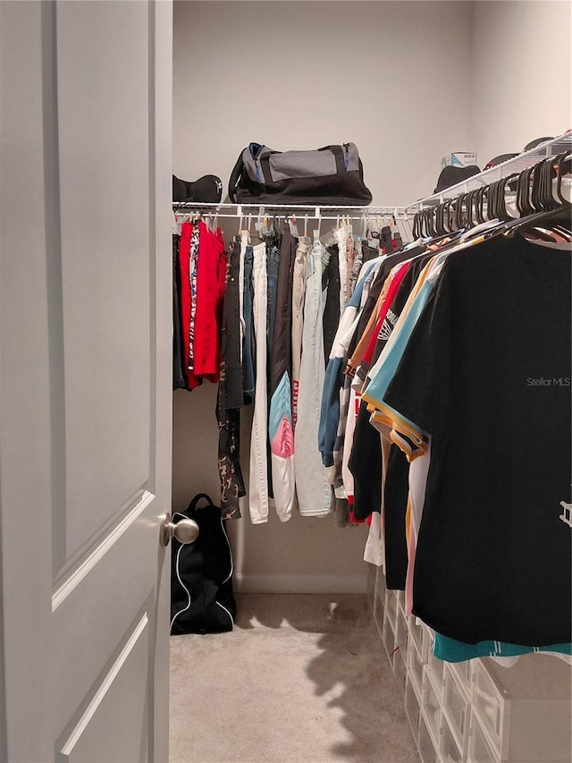 1509 Majestic, Winter Haven, FL 33880 - spacious closet featuring carpet floors