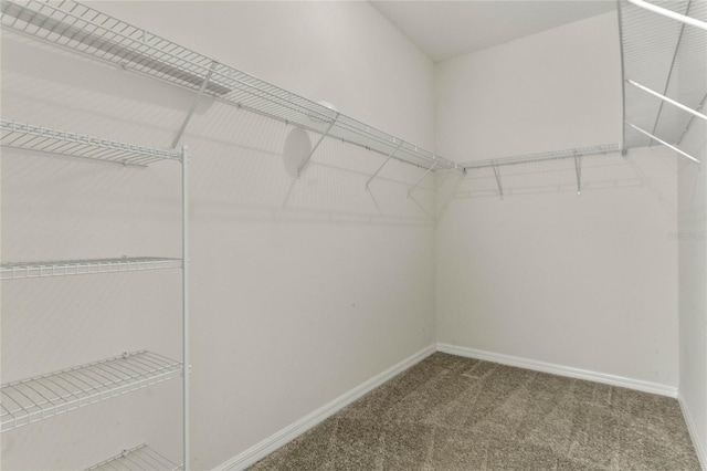 5423 Manchester Dr, Saint Cloud, FL 34771 - photo 24