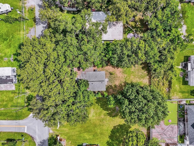 1723 Magnolia Ln, Kissimmee, FL 34746 - photo 23