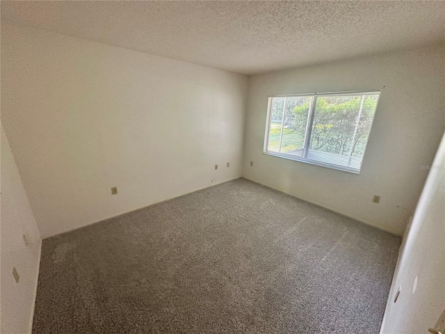 13102 Pembrook Ct, Hudson, FL 34667 - unfurnished room with carpet and a textured ceiling