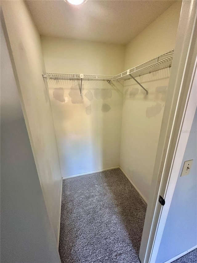 13102 Pembrook Ct, Hudson, FL 34667 - walk in closet with carpet flooring