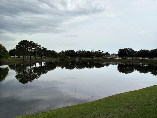2812 Tower Rock St, Kissimmee, FL 34758 - photo 39