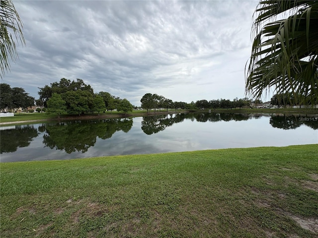 2812 Tower Rock St, Kissimmee, FL 34758 - photo 40
